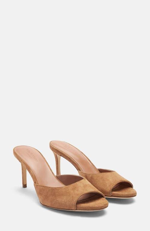 パンプス SCAROSSO FW21 Gigi Burgundy Suede (GIGIPUMPBURSUED) Gigi Burgundy Suede High Heels for Women | Scarosso®