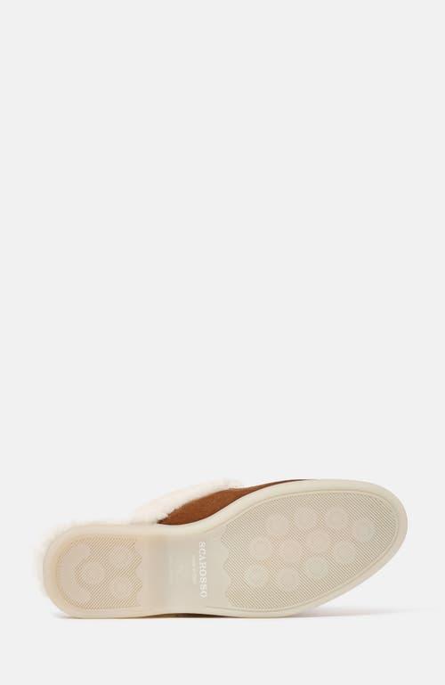 SCAROSSO Flat sandals for Women | Online Sale up to 34% off