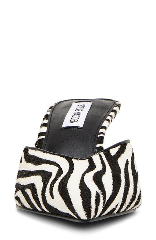 Steve Madden Zebra Print Mules Steve Madden Mod-A Leopard Print