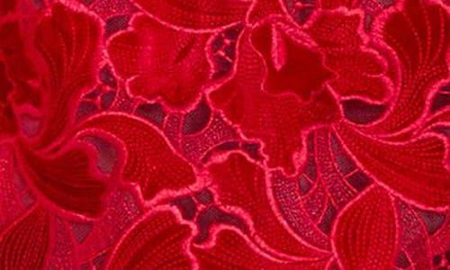 nadine merabi red lace dress Diane Burgundy Dress