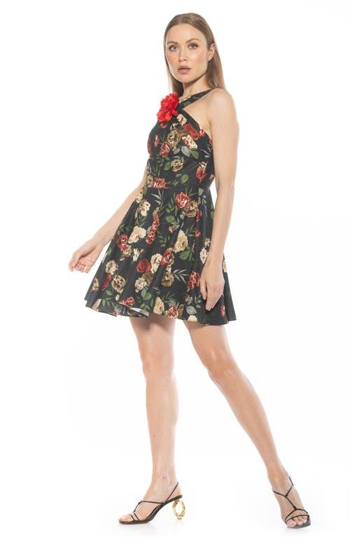 Alexia admor floral dress sales