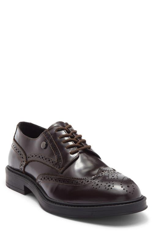 Roberto Cavalli Oxford shoes for Men | Online Sale up to 62  display picture 1