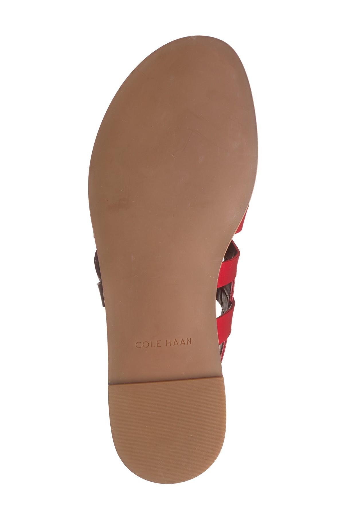 cole haan braelyn grand braided flat sandal