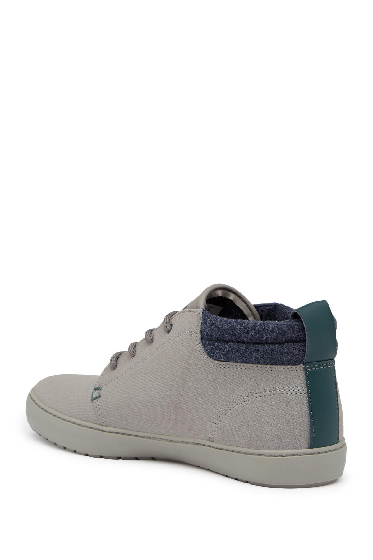 lacoste ampthill terra