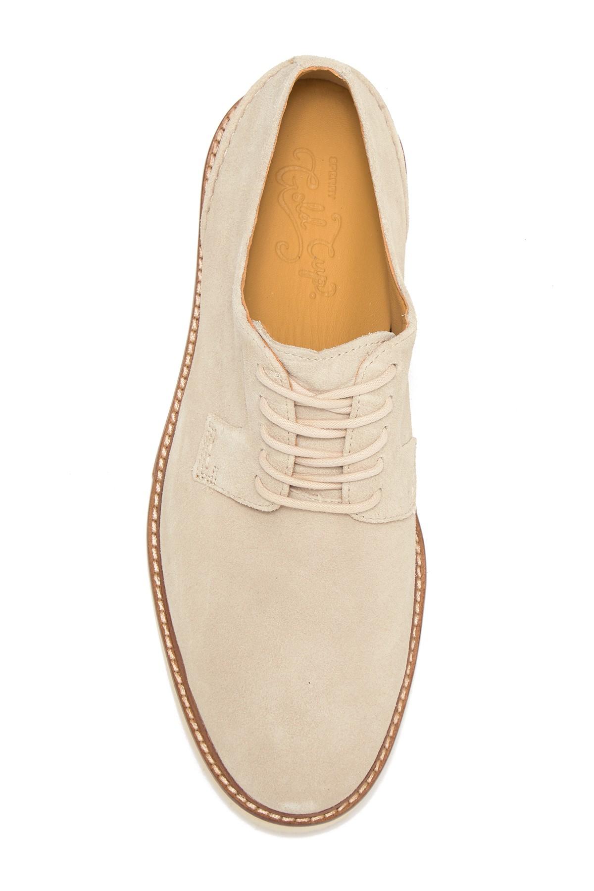 franco sarto cheshire