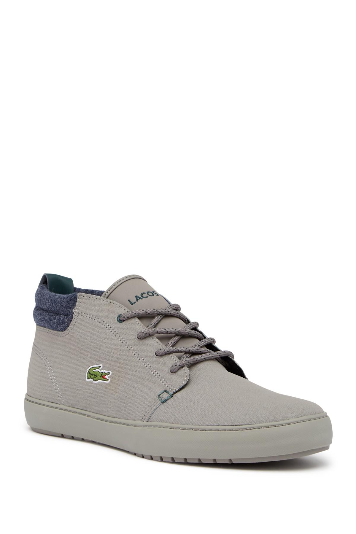 spitz lacoste for ladies