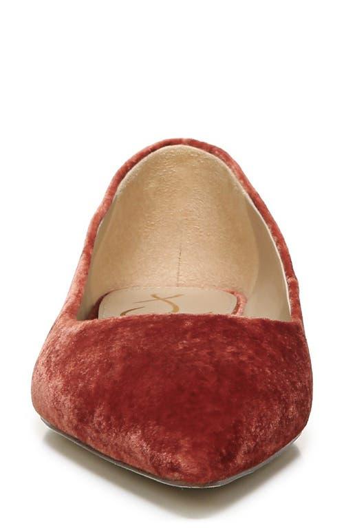 Sam edelman rae pointed toe flat best sale