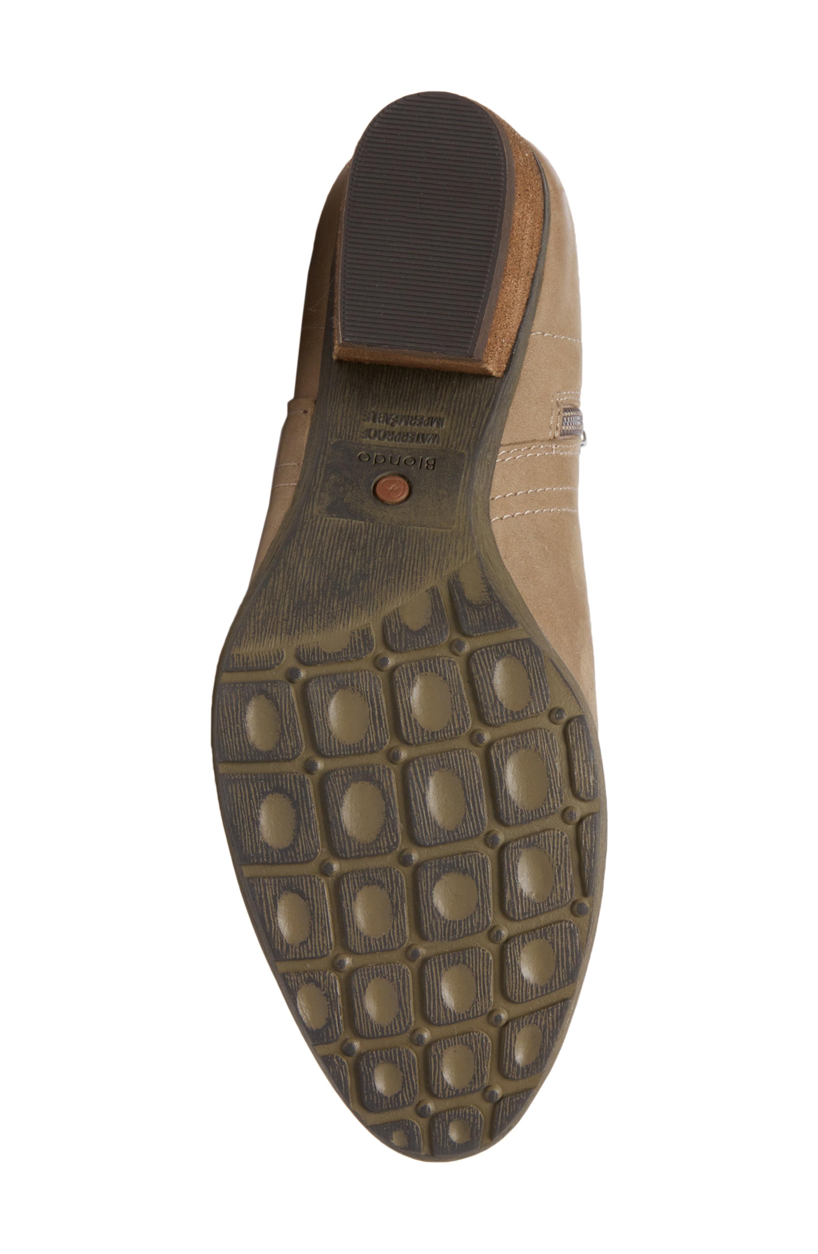 blondo valli mushroom