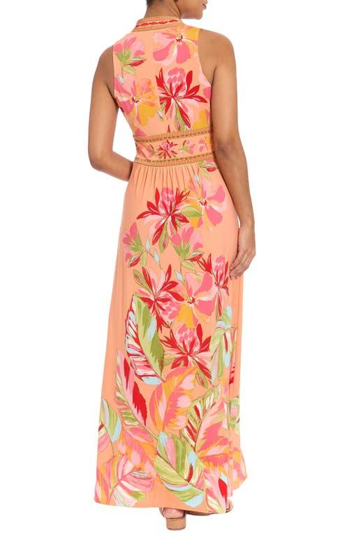 halter neck plunge dress Amedeo Plunge Halter Neck Maxi Dress