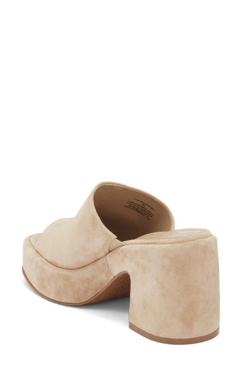 Suede Steve Madden Platform Slides Steve Madden Shanton Platform