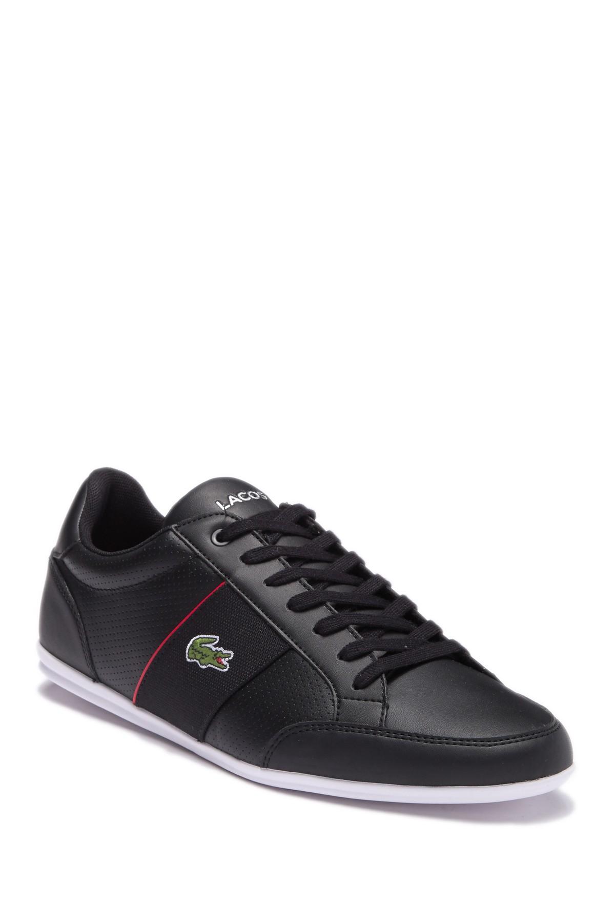 Lacoste nivolor leather sneaker Clearance