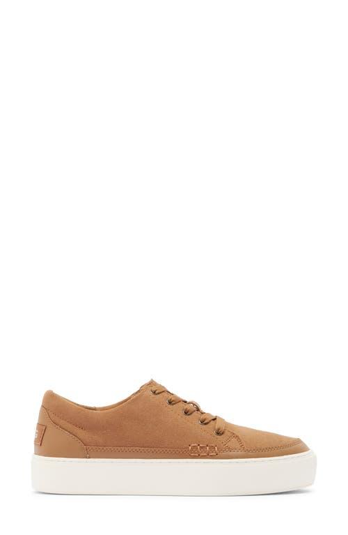 UGG Zilo Platform Sneaker in Brown Lyst