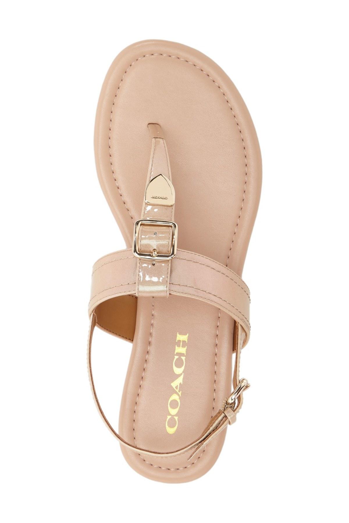 coach cassidy t strap sandal