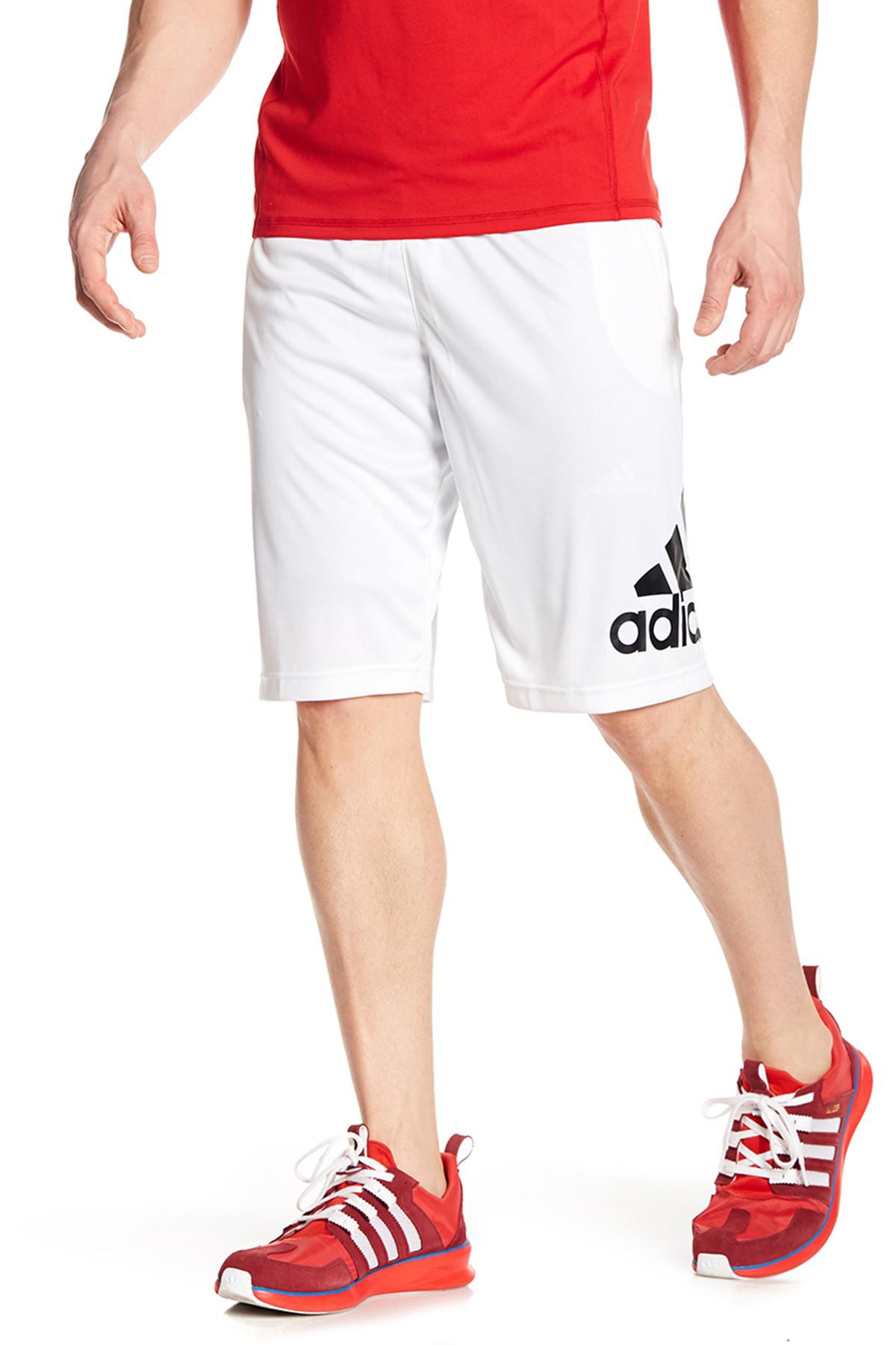 crazylight shorts
