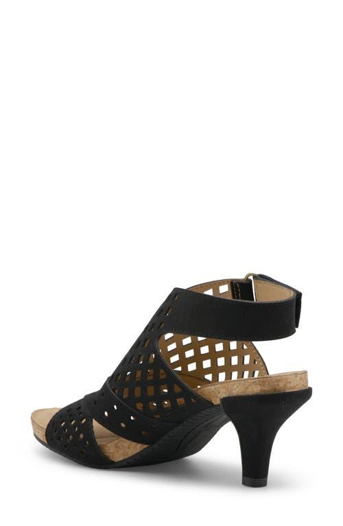 Hyrine shooties best sale