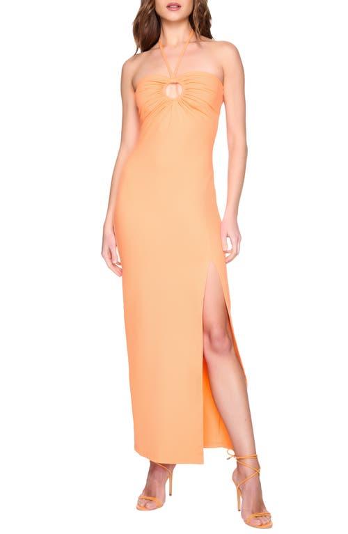slim fit dress slacks Susana Monaco High Neck Low Back Halter Slit Dress Perfect Red / S