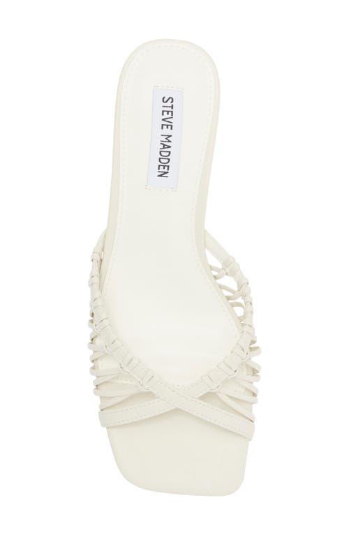 【レディース】Steve Madden Sharey Kitten Heel サンダル Steve Madden Sharey Kitten Heel Sandal (Women) | Nordstromrack