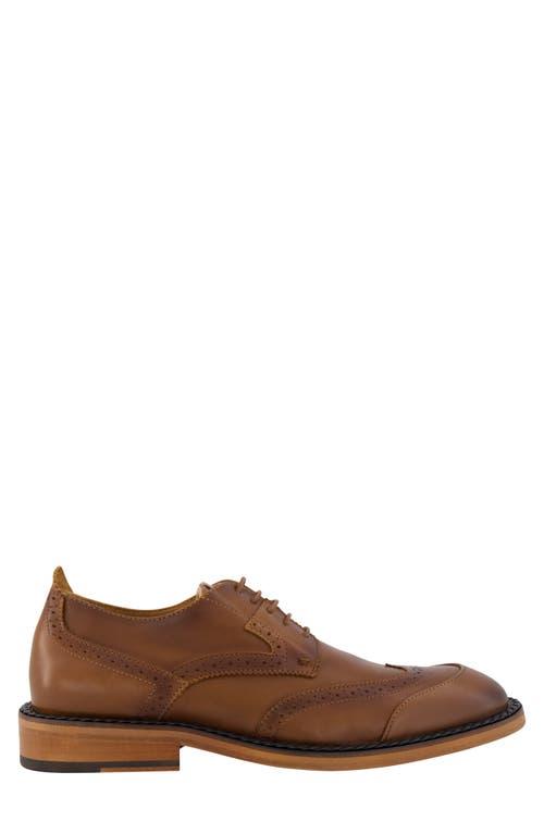 Karl Lagerfeld 12M Brown Leather Brogue Wingtip Oxfords Men’s Shoes KARL LAGERFELD Oxford shoes for Men | Online Sale up to 51  main image 4