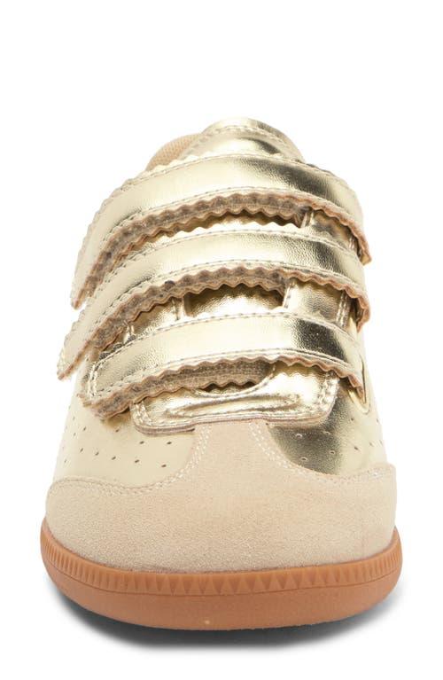 【レディース】Steve Madden Mabell Low Top スニーカー スティーブ マデン STEVE MADDEN 厚底デザインスニーカー