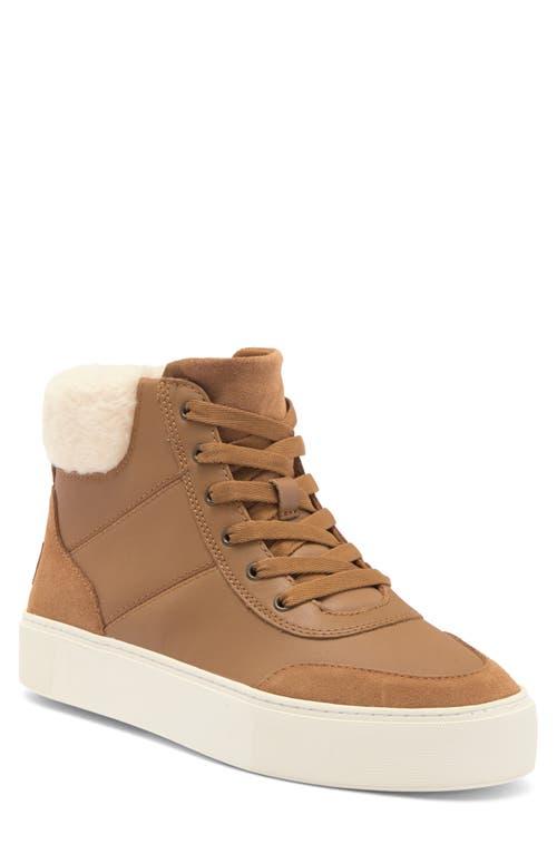 ugg olive high top sneaker