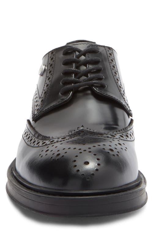 Roberto Cavalli Oxford shoes for Men | Online Sale up to 62  display picture 2