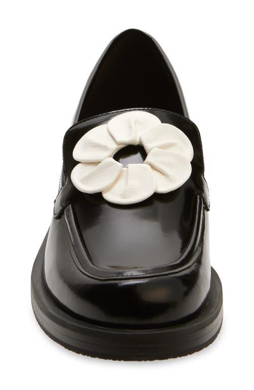 stuart-weitzman-BLACK-CREAM-X-  Stuart Weitzman x Sandy Laing Brown Suede Loafers in 10B (NWOB- $525.00) main image 0