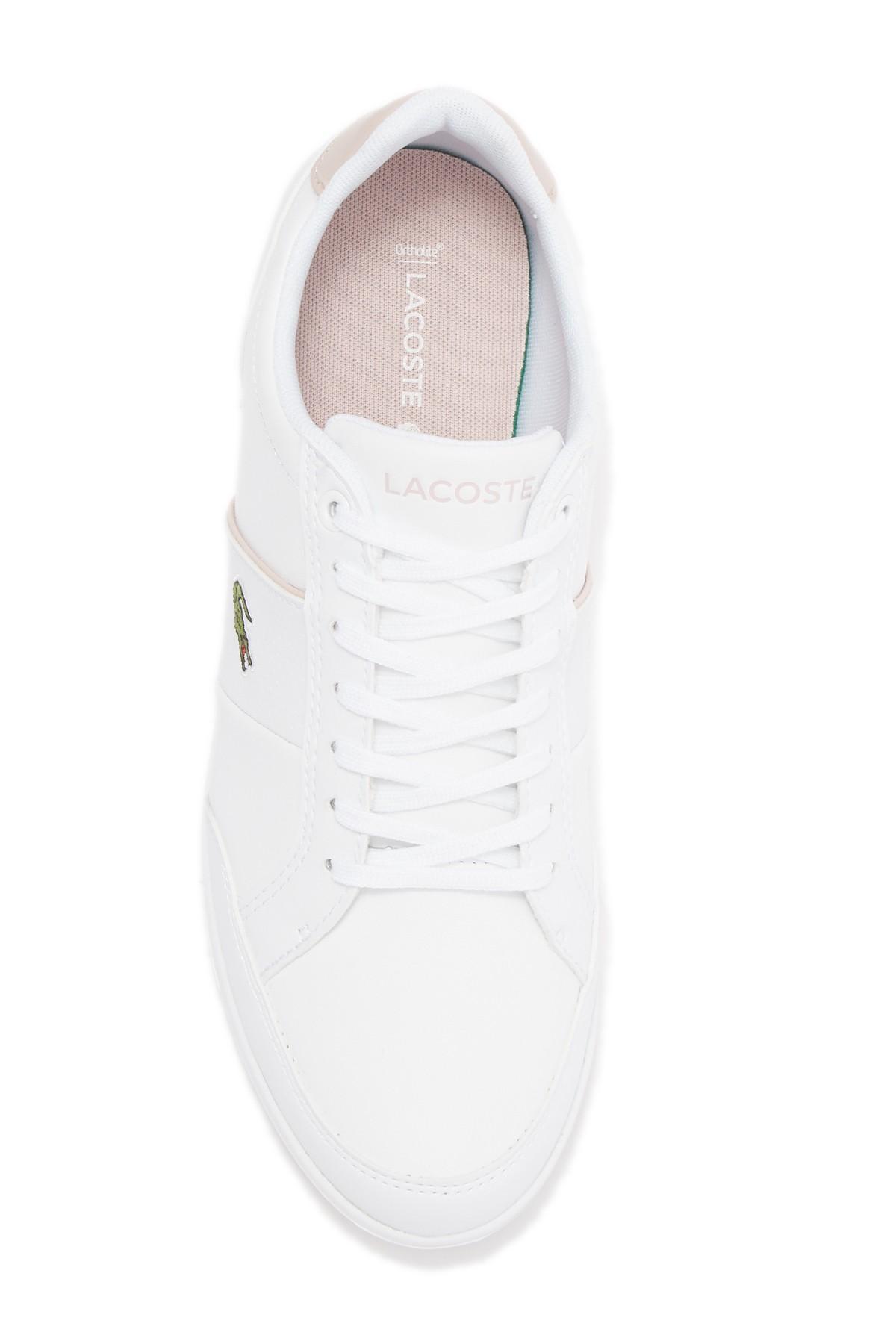 lacoste seforra