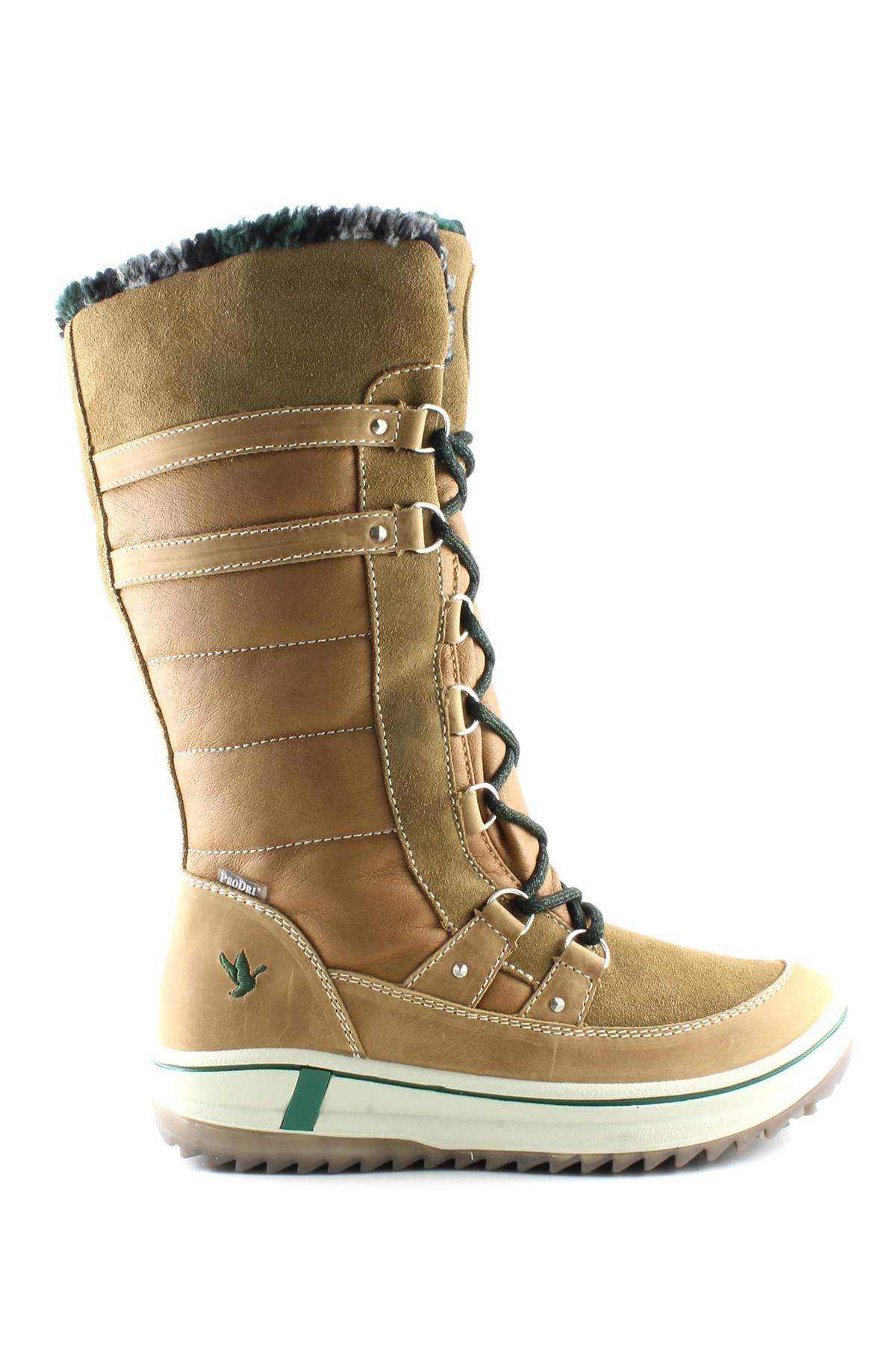 santana canada phoenix