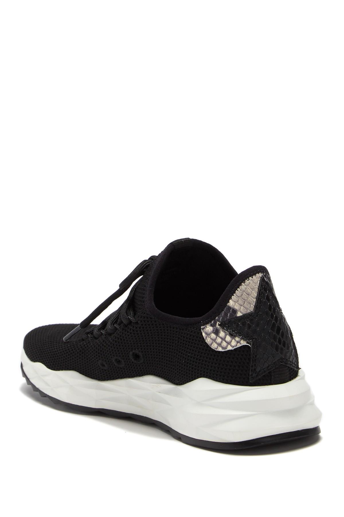 ash stardust sneakers