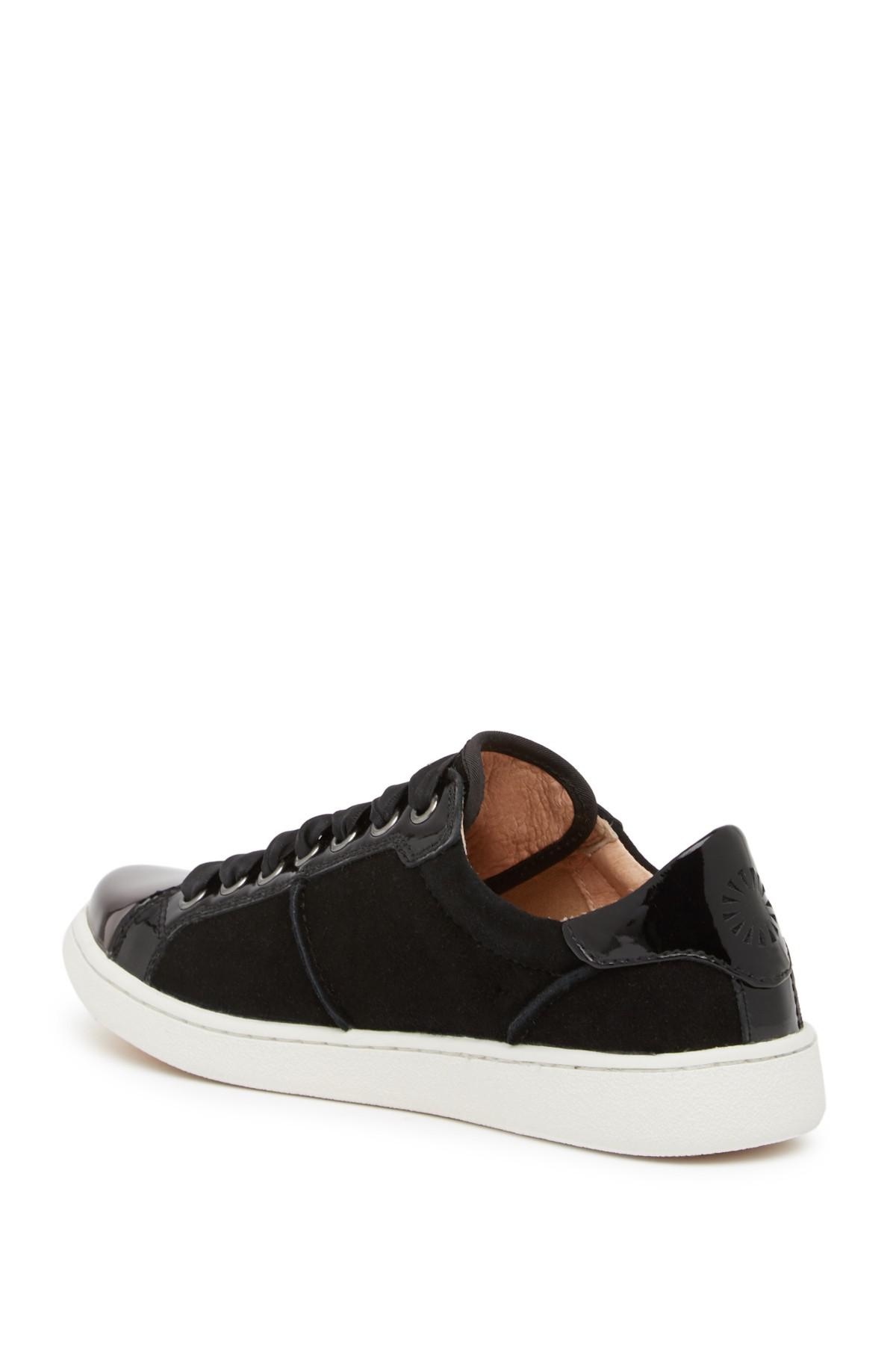ugg evangeline sneaker