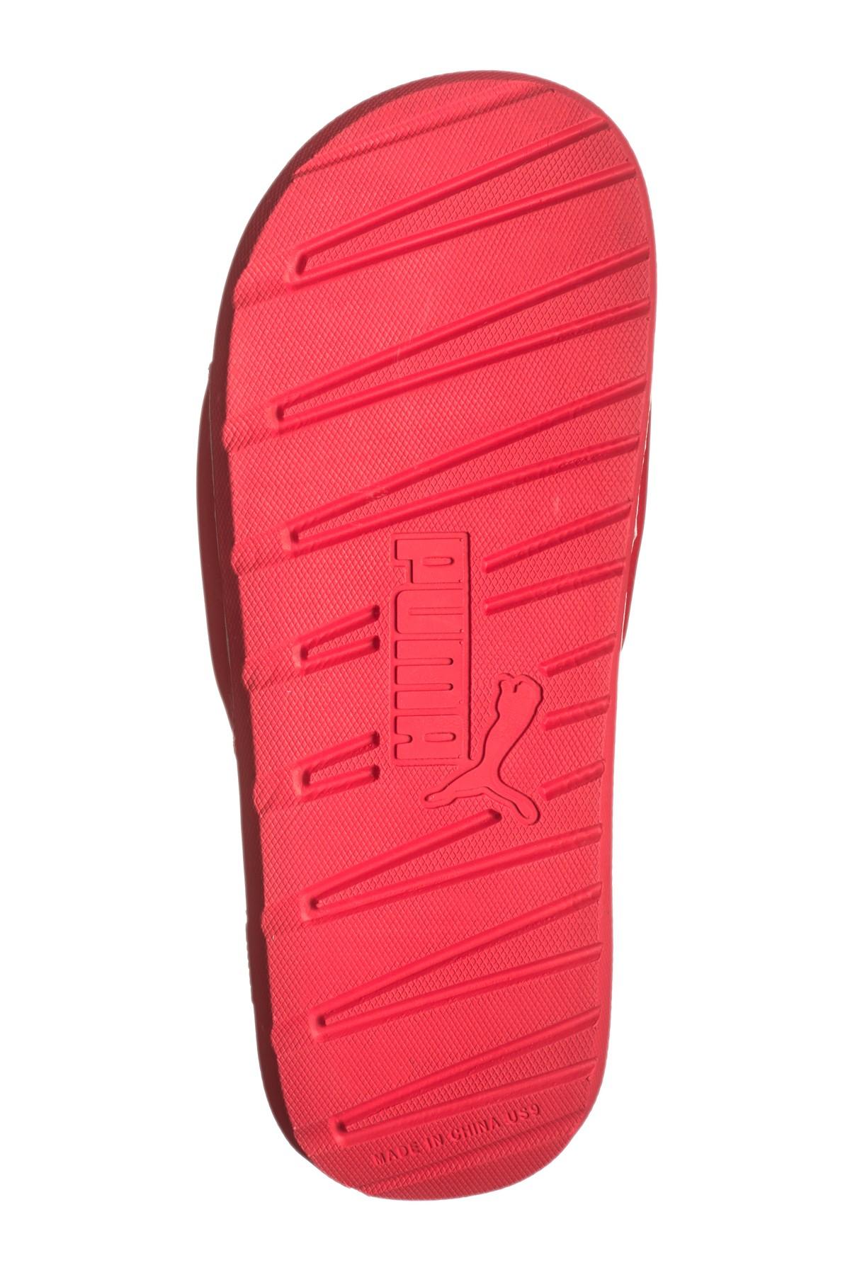 puma cat slide