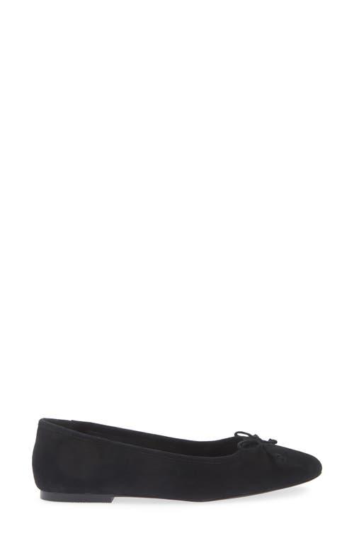 Steve Madden Ballet flats and ballerina shoes for Women