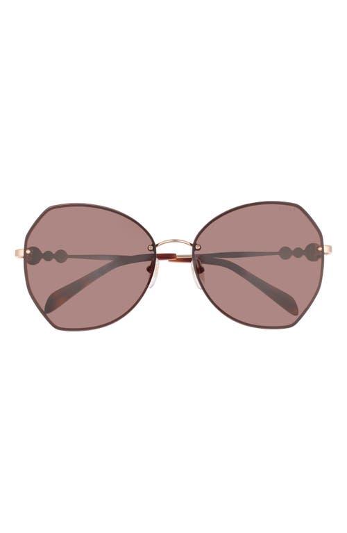 PUCCI Sunglasses for Women | Online Sale up to 85% off | Lyst display picture 1