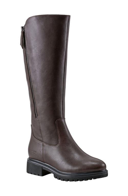 rockport knee high boots