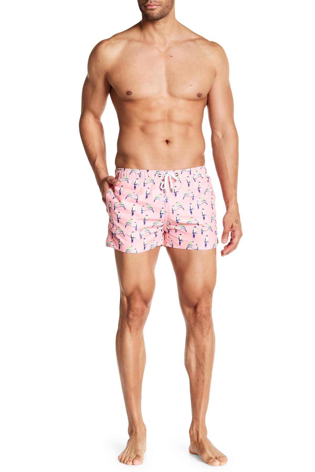 franks swim trunks