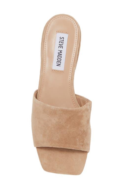 Steve Madden Amir Slide Sandal in Brown | Lyst