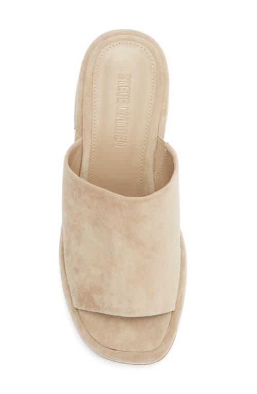 Sand Suede Steve Madden Suede Platform Sandals Steve Madden Latish