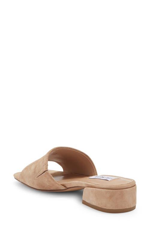 Steve Madden Amir Slide Sandal in Brown | Lyst