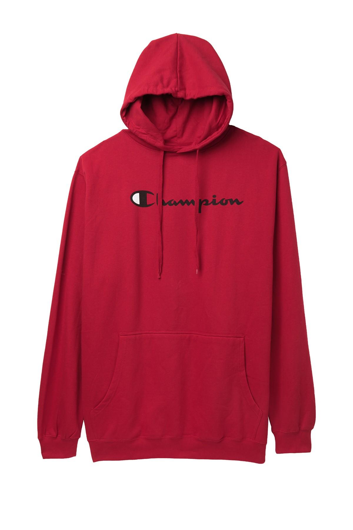 champion big and tall script logo hoodie