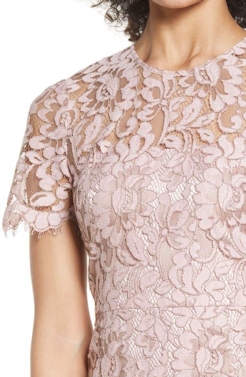 Eliza J Embroidered Lace Overlay Cocktail Dress in Pink | Lyst