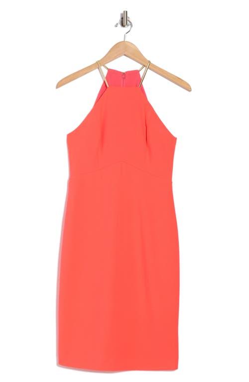 sachin and babi light blue dress Trina Turk Women's Halter for sale main image 1