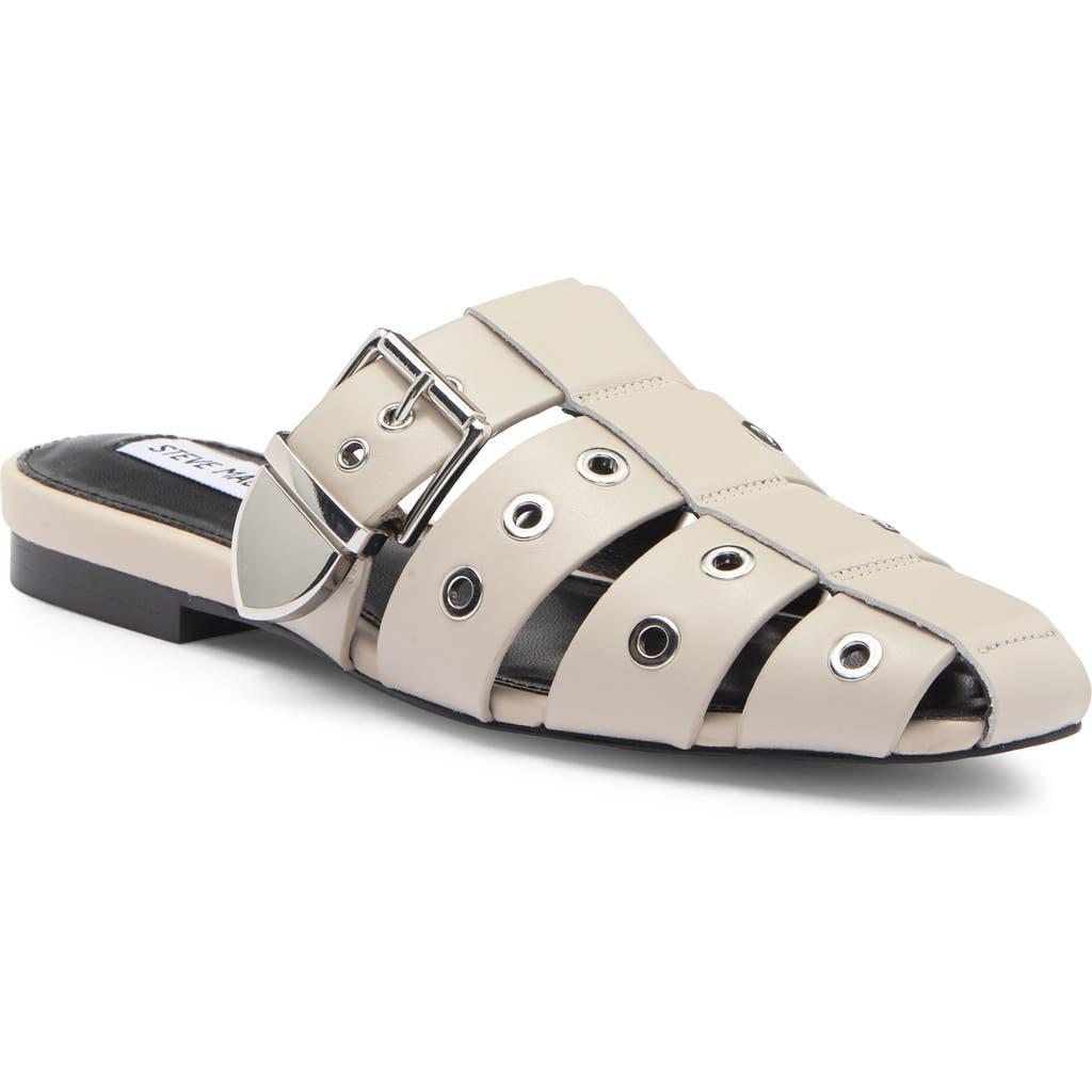 Madden Feather Steve Madden Flats Amazon Steve Madden Womens