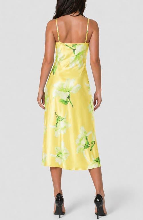 Yellow Bebe Dresses for Women | Lyst Yellow Bebe Dresses for Women | Lyst