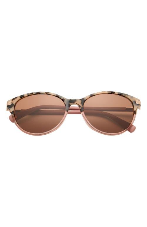 Ted Baker 56Mm Cat Eye Sunglasses in Brown | Lyst display picture 3