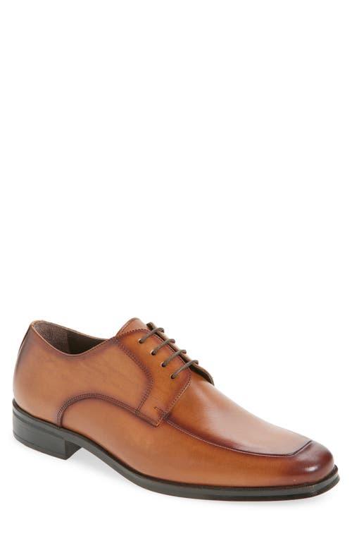 Bruno Magli Oxford shoes for Men | Online Sale up to 64% off  display picture 1