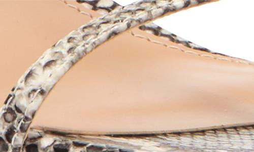 【Steve Madden】Mayzie Tストラップ サンダル Steve Madden Mayzie T-Strap Sandal (Women) | Nordstromrack