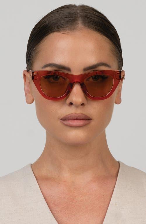 OTRA EYEWEAR Kinni Cat Eye Sunglasses in Brown for Men | Lyst display picture 2
