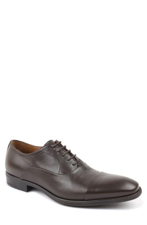 Antonio maurizi cap toe oxford deals