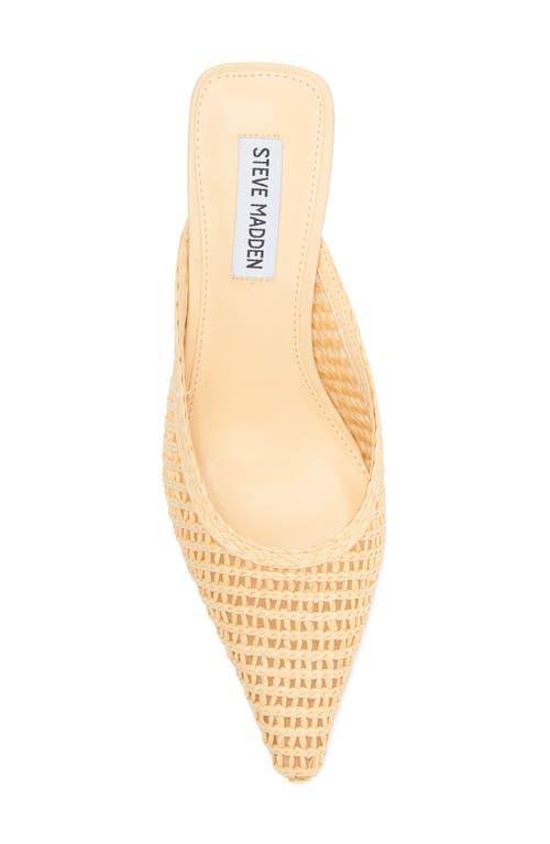 【Steve Madden】Cleverr Wovenミュール Steve Madden Cleverr Woven Mule (Women) | Nordstromrack