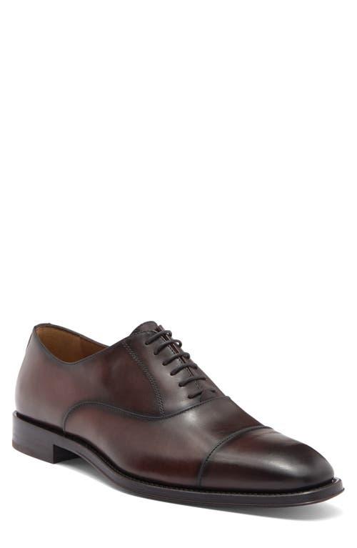 Antonio Maurizi Italian Leather Cap Toe Oxfords in Brown for Men Lyst